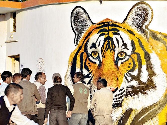 Visitors and curious passers-by take a closer look of the mammoth tiger painting on one of the walls of the railway platform. Pic/Aditya 