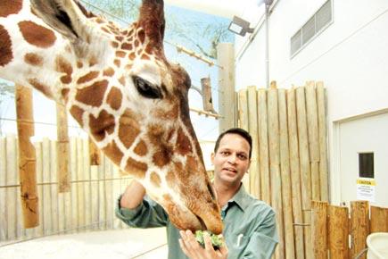 Thane resident strives for the conservation of giraffes
