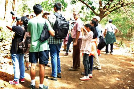 Mumbai for kids: Tungareshwar in Vasai is a great trekking trail for kids