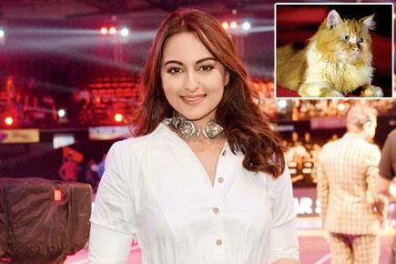 When a cat made Sonakshi Sinha sulk on sets of 'Noor'