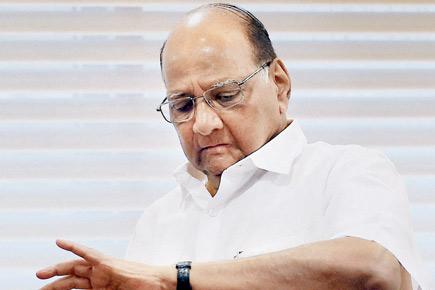 Sharad Pawar: Will happily retire as a cricket official in 6 months' time