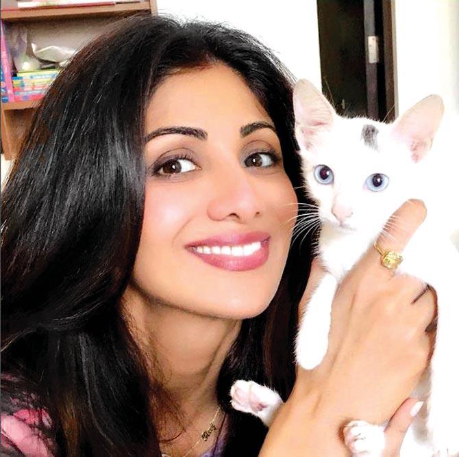 Shilpa Shetty with her cat, Queenie