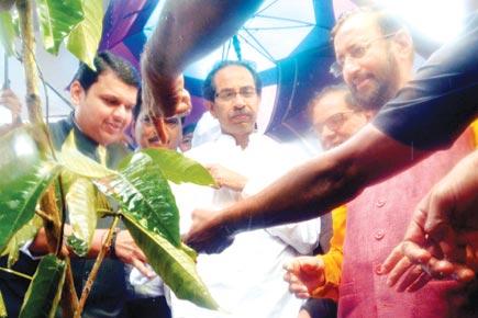 Devendra Fadnavis and Uddhav Thackeray at green initiative in Mahim