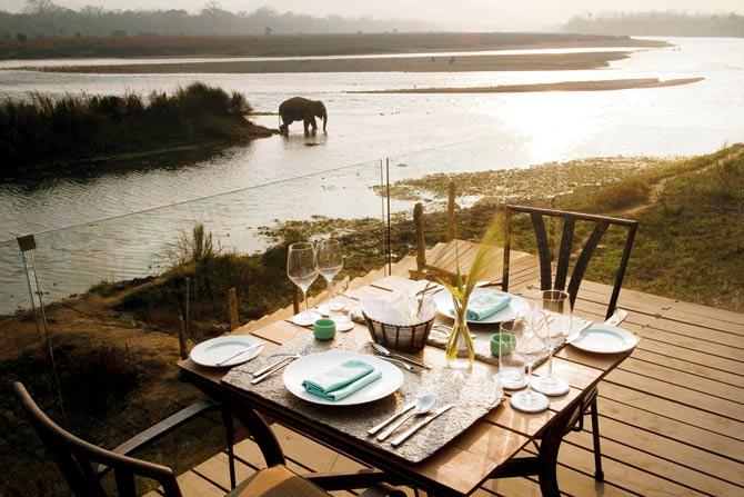 You can spot elephants bathing in the river while enjoying a meal on the deck