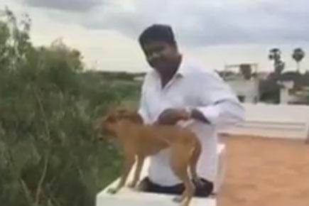 Chennai medicos held for hurling dog, get bail