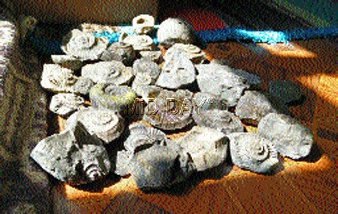 A collection of fossils at a Langza local’s home