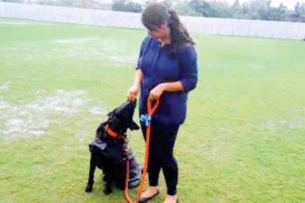 Thane: Residents forced to move out after society members 'harass' pets