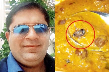 Mumbai man falls sick after being served cockroach in meal on flight 