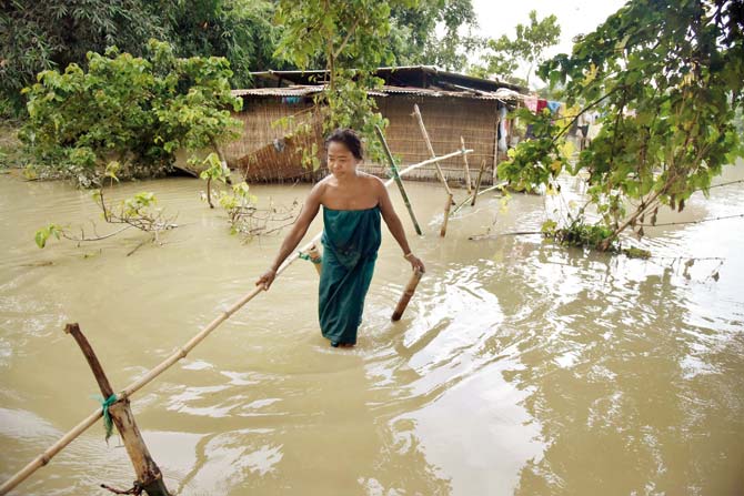 In this photograph taken on Friday, a Bodo woman crosses flood waters along a bamboo bridge in the flood affected Bordiya Kacharigoan village in Morigoan district, some 70 kms from Guwahati. Almost 3.6 million people have been badly hit. Pic/AFP