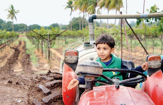 A kid enjoys a tractor ride at the region’s oldest vineyard