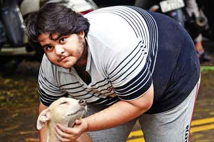 Shunted out, Animal Welfare Officer seeks CM's intervention