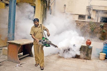 Now, Mumbai police will hunt for mosquitoes