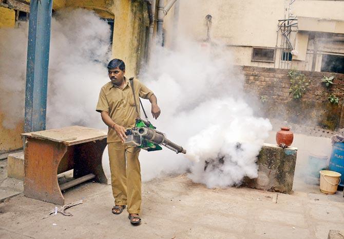 The drive against mosquitoes in police stations is expected to start in a week. File picture for representation