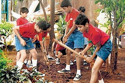 Anand Pendharkar: Planting a gimmick