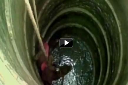 Watch Video: Calf rescued in UP after it falls into well 