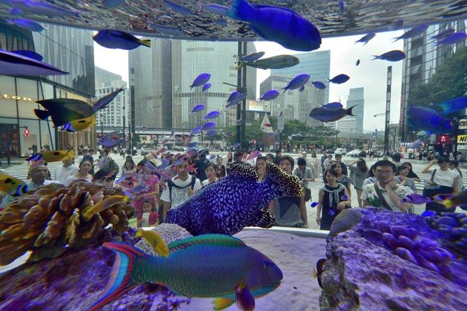 Visitors look at tropical fish transported from Japan
