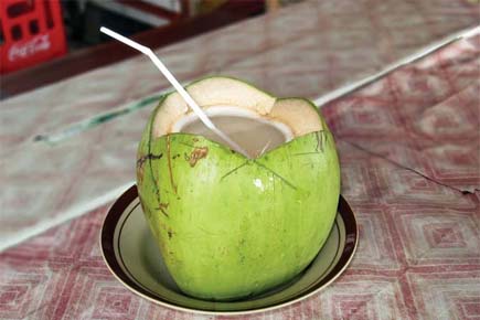 Mumbai: Gang that spiked coconut water to loot people busted