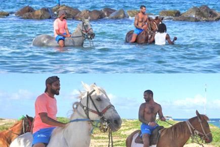 Ravindra Jadeja and Shikhar Dhawan go horse riding... in the sea!