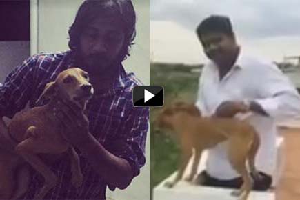 Dog mercilessly thrown off terrace in Chennai found alive