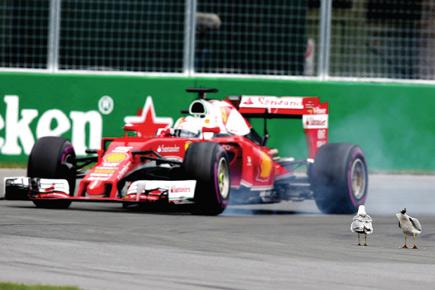 F1: Sebastian Vettel explains how he avoided two seagulls