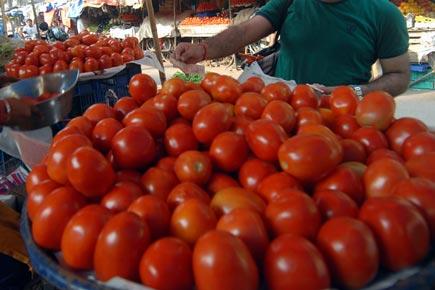 Mumbai cops can't 'ketchup' with thief who stole 95 crates of tomatoes