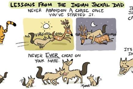 Happy Father's Day! Lessons from the Indian Jackal Dad