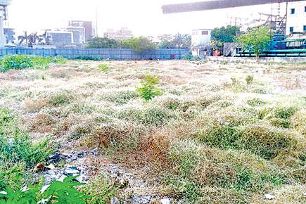 Delay in MMRDA's auctioning of BKC plot: Is Rs 1,500 cr too much?