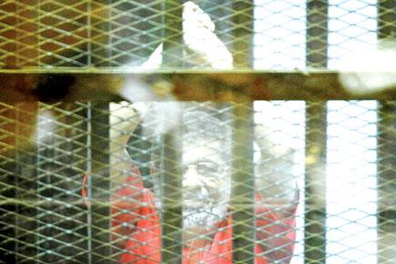 Egypt's ousted President Mohamad Morsi sentenced to life imprisonment