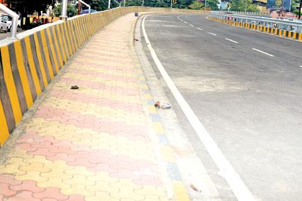 mid-day finds out real reason behind delay in inaugurating Vasai flyover