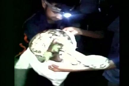 Watch video: Python found inside police station in Hyderabad