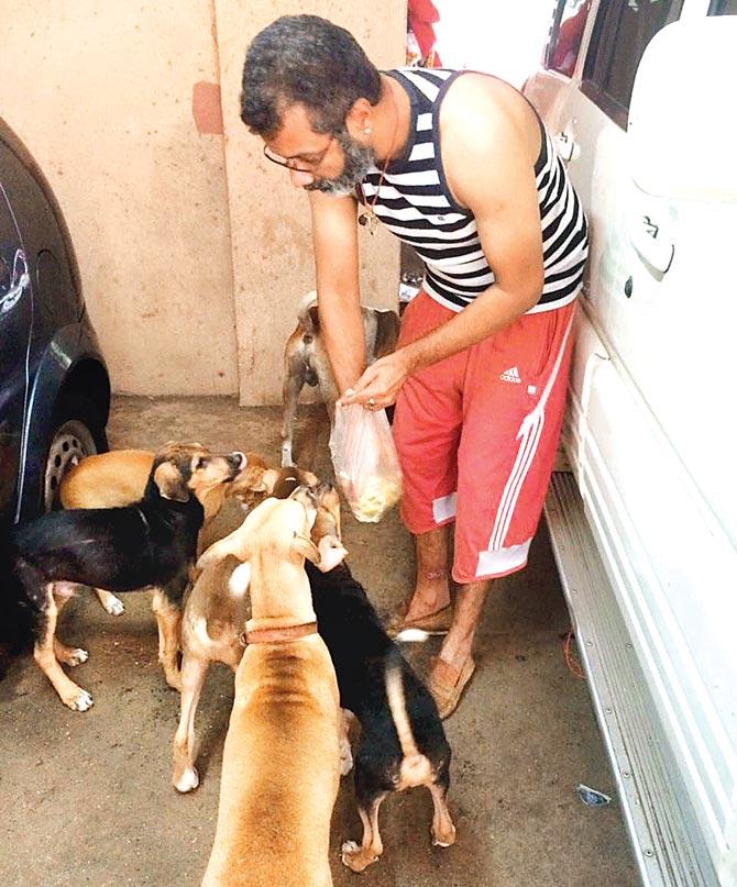 Sanjeev Chopra claimed that he fed the strays by hand, so that the parking lot didn