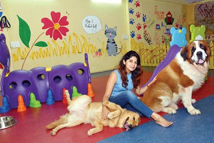 This new facility near Mumbai's T2 is your pet's home away from home