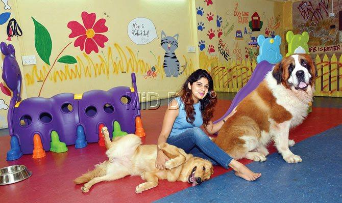 Nikarika Sekhri with Rooney (right) and Zooey (left); the spacious play area at Pawfect. Pics/ Sayyed Sameer Abedi
