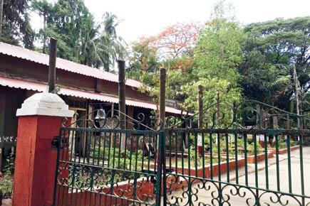Mumbai: Trees chopped outside SGNP director's office