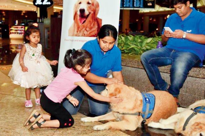 Elated kids indulge in dog therapy introduced for domestic passengers at T2