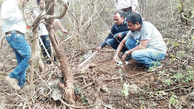 A team of officers from the Forest Department inspect the carcass