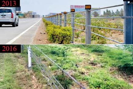 Rs 80 lakh safety ropes on Mumbai-Pune Expressway are failing crash tests