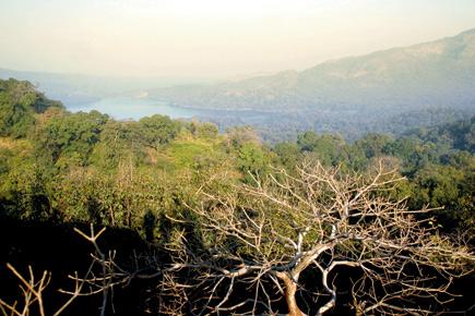 Trek at SGNP will lead you to Mumbai's highest point