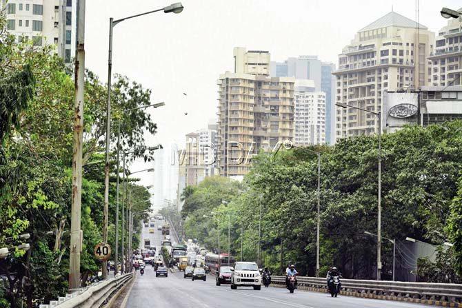 Senapati Bapat Marg was named after Pandurang Bapat. A municipal corporation official said he will look into the matter and said only they can change the names of roads. Pic/Shadab Khan