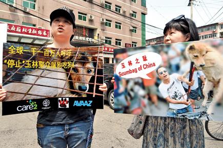 Dogs slaughtered, eaten in Yulin despite protests