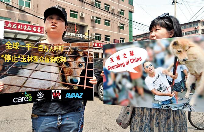 A group of Chinese and international animal activists had also presented a petition signed by 11 million people to stop the festival, but it failed to work