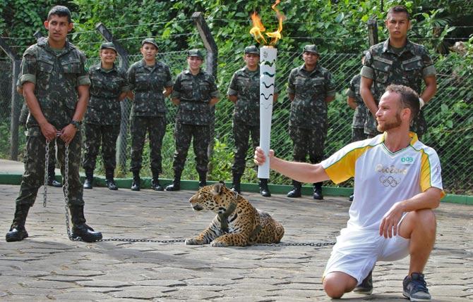 The Olympic Torch, hold by an athlete, is seen by a jaguar --symbol of Amazonia