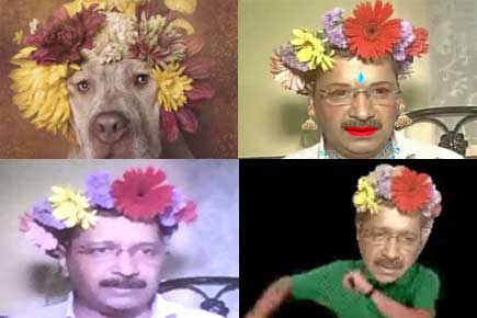 Twitterati go bonkers over Arvind Kejriwal's floral headgear