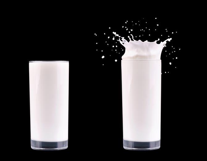 Maharashtra Kisan Sabha to protest against low milk purchase price