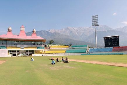 Will dig up pitch if Pakistan plays at Dharamsala: Virender Shandilya
