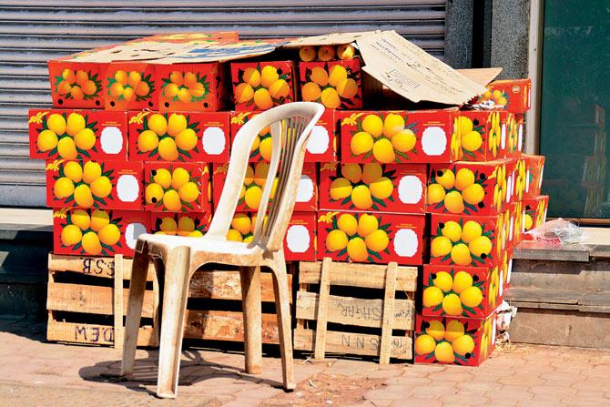 No aam-selling this: In the absence of shops to rent, the mango sellers might have to sell their wares like this