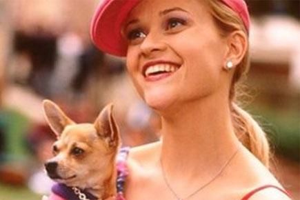 Reese Witherspoon's 'Legally Blonde' chihuahua dies
