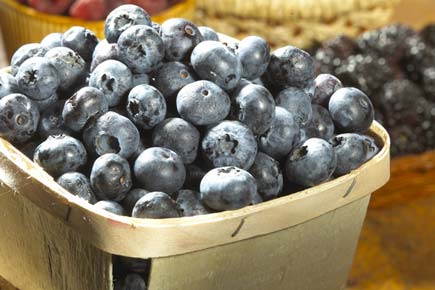 'Super fruit' blueberries can help fight Alzheimer's
