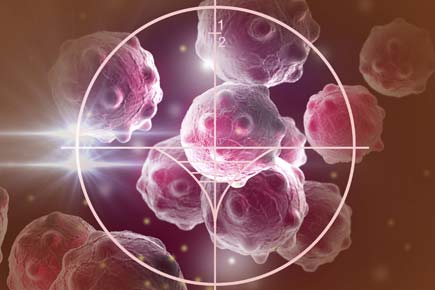 New immune mechanism to protect from cancer identified