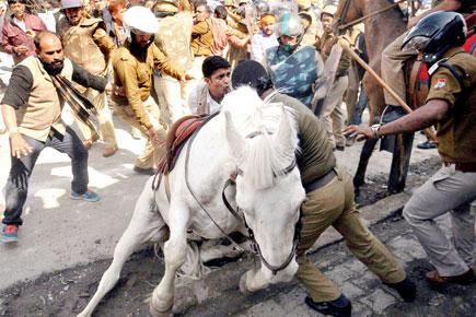 Police horse 'Shaktiman', who was injured in Dehradun attack, dies
